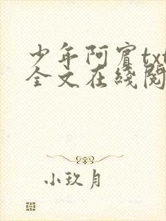 少年阿宾txt全文在线阅读