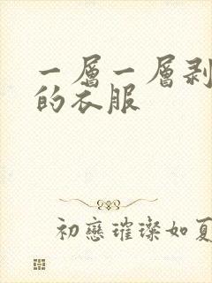 一层一层剥开你的衣服