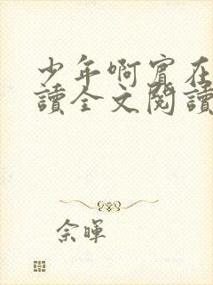 少年啊宾在线阅读全文阅读