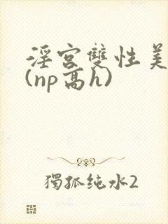 淫宫双性美人录(np高h)