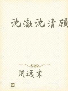 沈澈沈清顾安