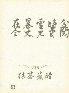 在暴雪时分小说全文免费阅读无弹窗封面