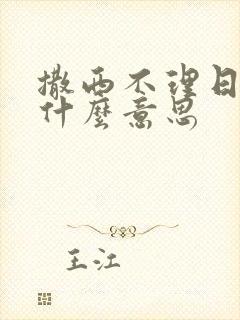 撒西不理日语是什么意思封面