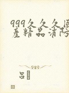 999久久久国产精品消防器材