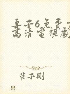 妻子6免费完整高清电视剧在线观看