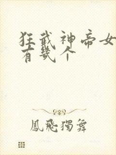 狂武神帝女主角有几个封面