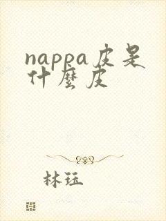 nappa皮是什么皮