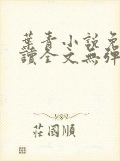 叶青小说免费阅读全文无弹窗