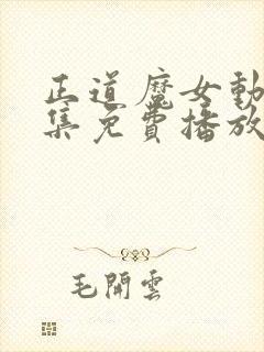 正道魔女动漫全集免费播放封面