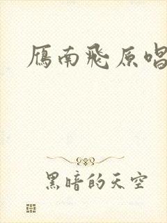 雁南飞原唱封面