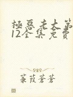 极恶老大第二季12全集免费观看封面