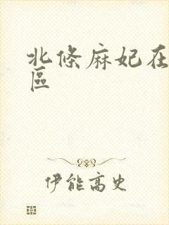 北条麻妃在线二区