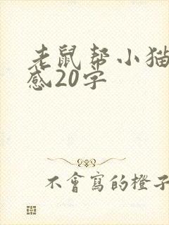 老鼠帮小猫读后感20字