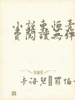 小说东恒青云免费阅读无弹窗