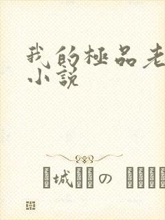 我的极品老婆l小说