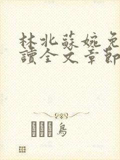 林北苏婉免费阅读全文章节