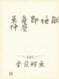 单身即地狱讲的什么