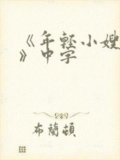 《年轻小嫂子4》中字