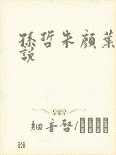 孙哲朱颜叶巧小说