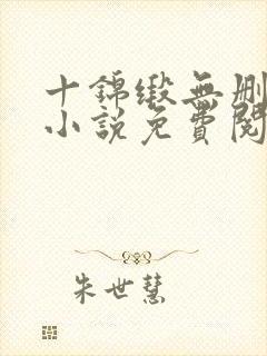 十锦缎无删原著小说免费阅读