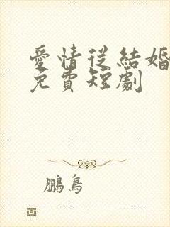 爱情从结婚开始免费短剧