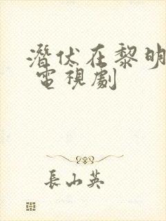 潜伏在黎明之前 电视剧