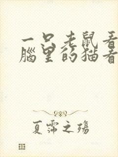 一只老鼠看见电脑里的猫看图写话