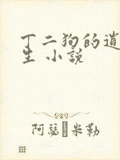 丁二狗的逍遥人生 小说