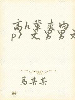 高h荤爽肉〈np〉文男男文