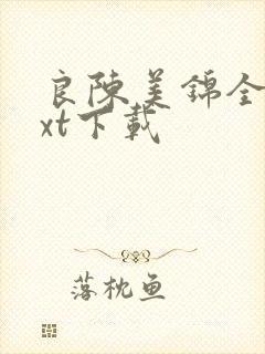 良陈美锦全文txt下载封面