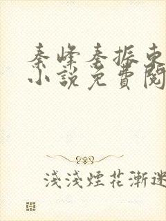 秦峰秦振东主角小说免费阅读官场小说