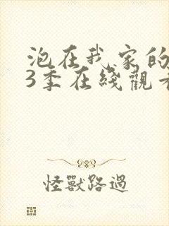 泡在我家的辣妹3季在线观看