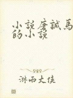 小说唐诚马玉婷的小说