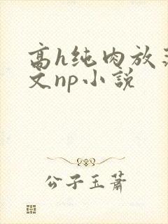 高h纯肉放荡h文np小说