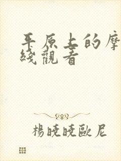 平原上的摩西在线观看封面