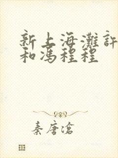 新上海滩许文强和冯程程