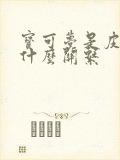 宝可梦是皮卡丘什么关系封面