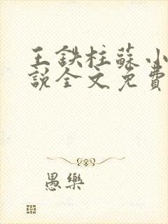 王铁柱苏小汐小说全文免费阅读最新章节封面