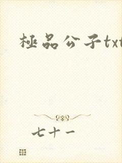 极品公子txt封面