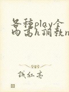 各种play全肉高h调教np
