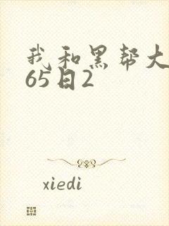 我和黑帮大佬365日2