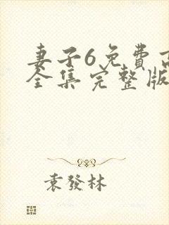 妻子6免费高清全集完整版