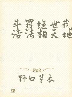 斗罗绝世我霍雨浩法相天地笔趣阁