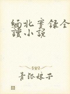 缅北实录全文阅读小说封面