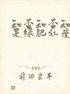 知否知否知否应是绿肥红瘦免费观看全集