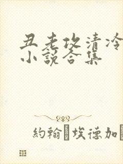 丑老攻清冷美人小说合集