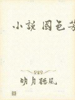 小说 国色芳华
