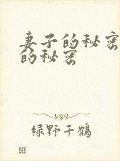 妻子的秘密妻子的秘密