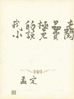 我的极品老婆 小说免费阅读封面