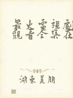 最火电视剧免费观看全集在线播放